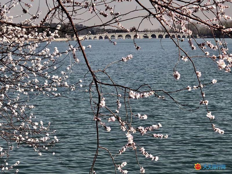 頤和園