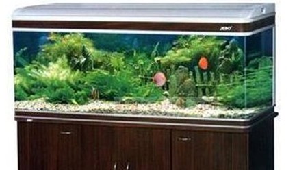 JEBO佳寶-水族箱知名品牌排行榜中榜