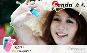 力杰Cenda-知名移動硬盤品牌排行榜