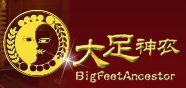 大足神農(nóng)-全國知名足療連鎖品牌排行榜中榜