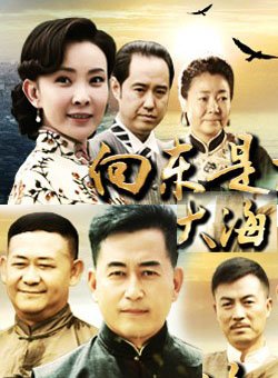 向東是大海-經(jīng)典好看的年代劇排行榜