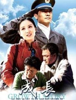 成長(zhǎng)-最好看的大陸經(jīng)典電視劇排行榜