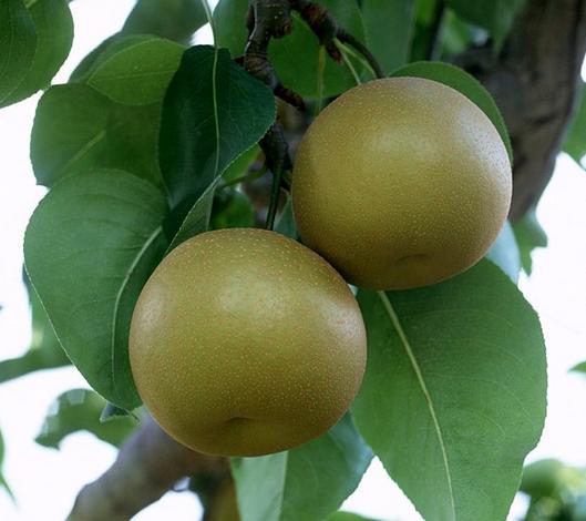 خa-Ї(yu)خaƷаа