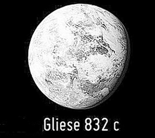832c