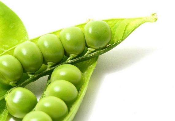 白城特產(chǎn)-中國各地名優(yōu)土特產(chǎn)品排行榜中榜