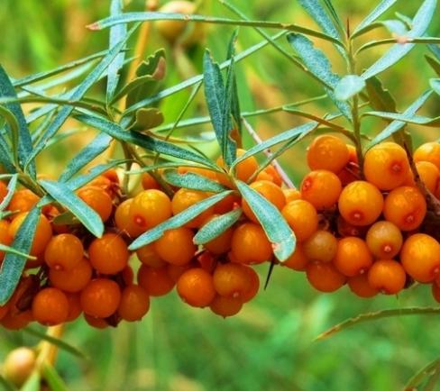 ںخa(chn)-Ї(yu)خa(chn)Ʒаа