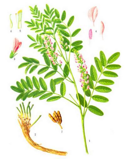 武威特產(chǎn)-中國各地名優(yōu)土特產(chǎn)品排行榜中榜
