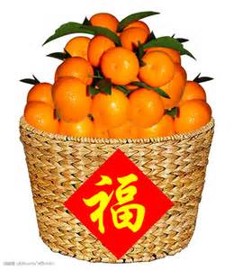 柑桔
