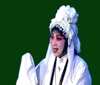 張美貞-戲迷最喜愛的戲劇戲曲演員排行榜