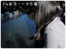 ʮI-Ї(gu)֪W(wng)j(lu)аа