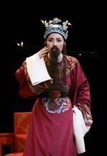 蔡燕-最受歡迎的著名越劇演員排行榜