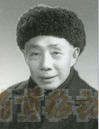 丁永泉-最受歡迎的著名黃梅戲演員排行榜