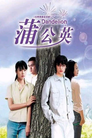 蒲公英-最好看的都市電視劇排行榜
