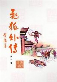 飛狐外傳-中國經(jīng)典武俠小說排行榜中榜