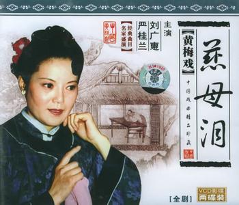 黃梅戲《慈母淚》-黃梅戲經(jīng)典傳統(tǒng)劇目排行榜中榜